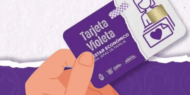 Baja California: Fechas, requisitos y módulos para Tarjeta Violeta 2026