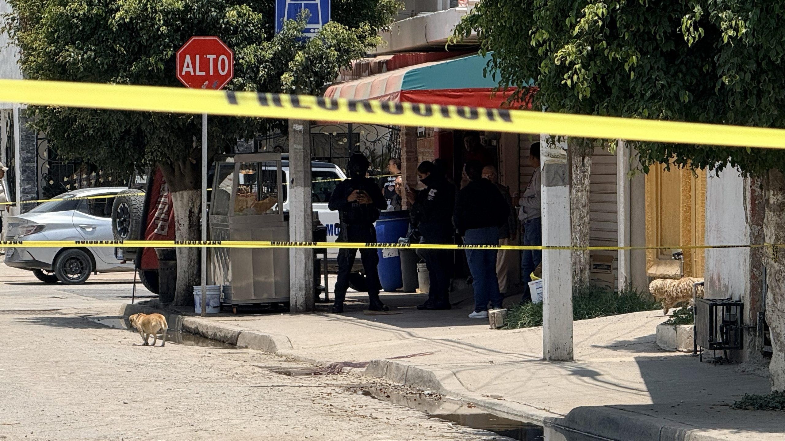 Balean a joven afuera de carnicería en Villa Magna, León