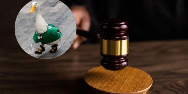 CDMX: Presentan la 'Ley Merlín' sobre el famoso pato
