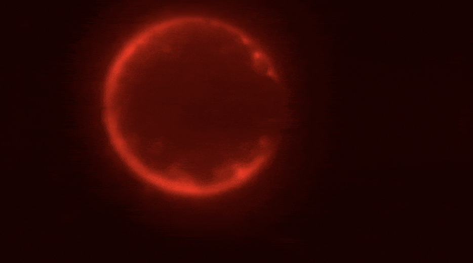 Ciencia avanza: Crean célula sintética desde cero para aplicaciones biológicas