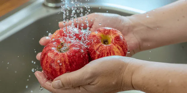 Ciudad de México: IMSS enseña a limpiar frutas y verduras adecuadamente