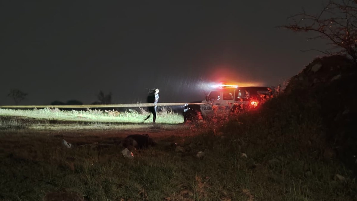 Cuerpo hallado en banco de tepetate en León tras hallazgo en perro