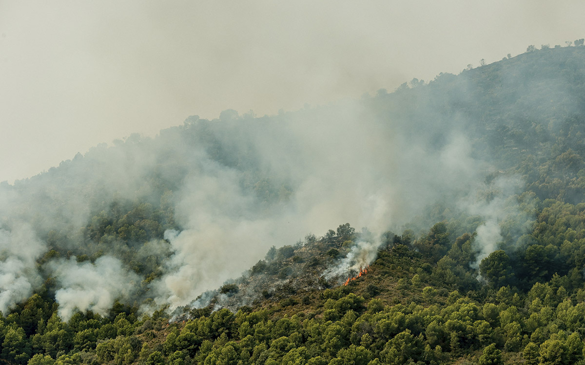 España enfrentará los incendios tras la pérdida de 77,000 hectáreas