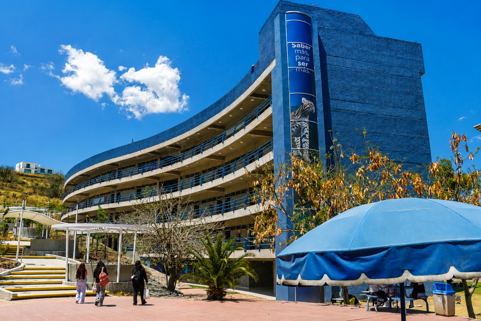 Estudia una licenciatura en UNIVA León a partir de septiembre