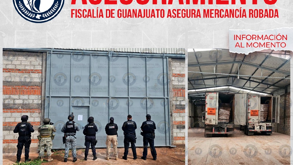 Guanajuato: Aseguran finca con cargamento de cerveza y vehículos robados