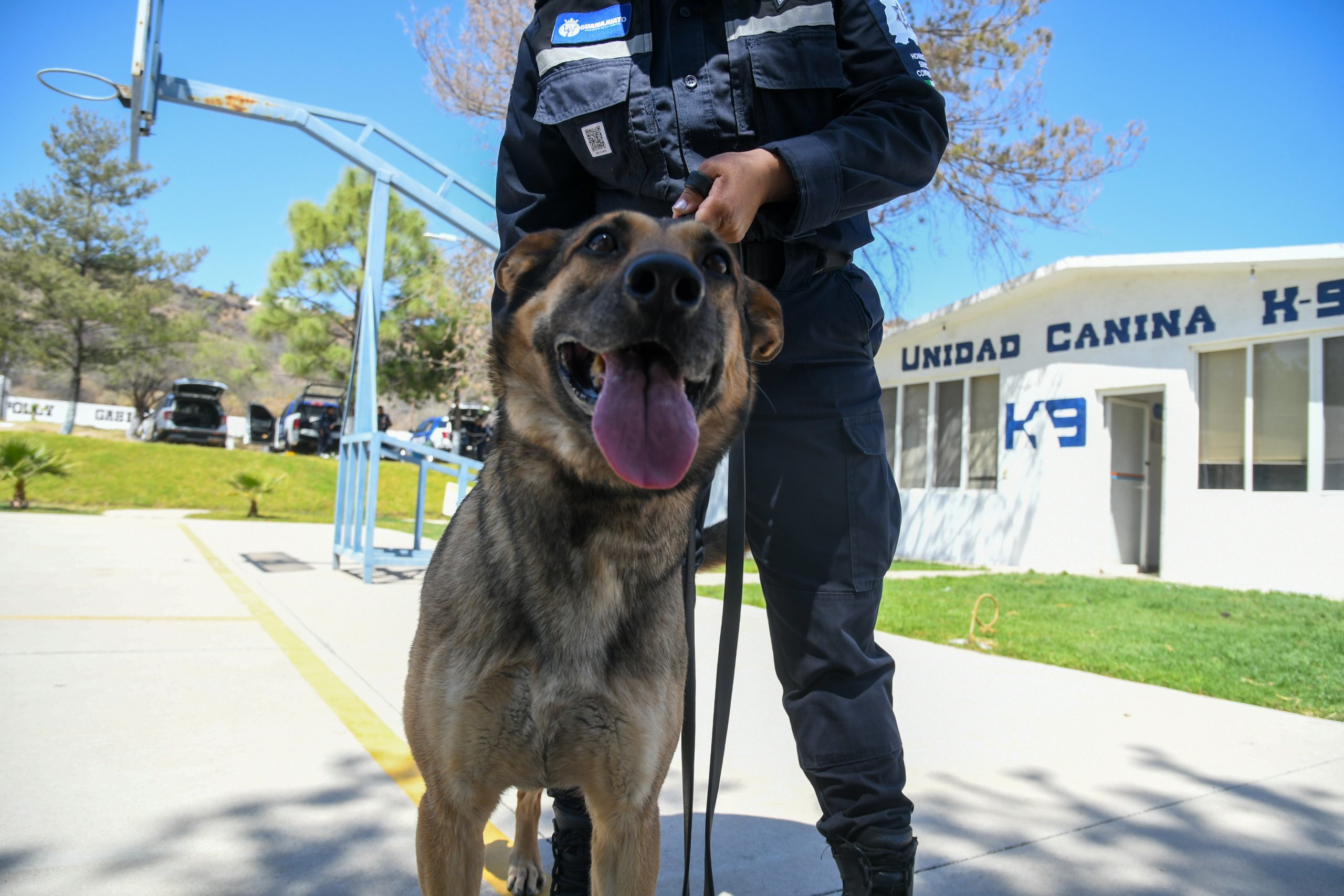 Guanajuato: Reconocimiento a quienes protegen vidas en el Día del Perro