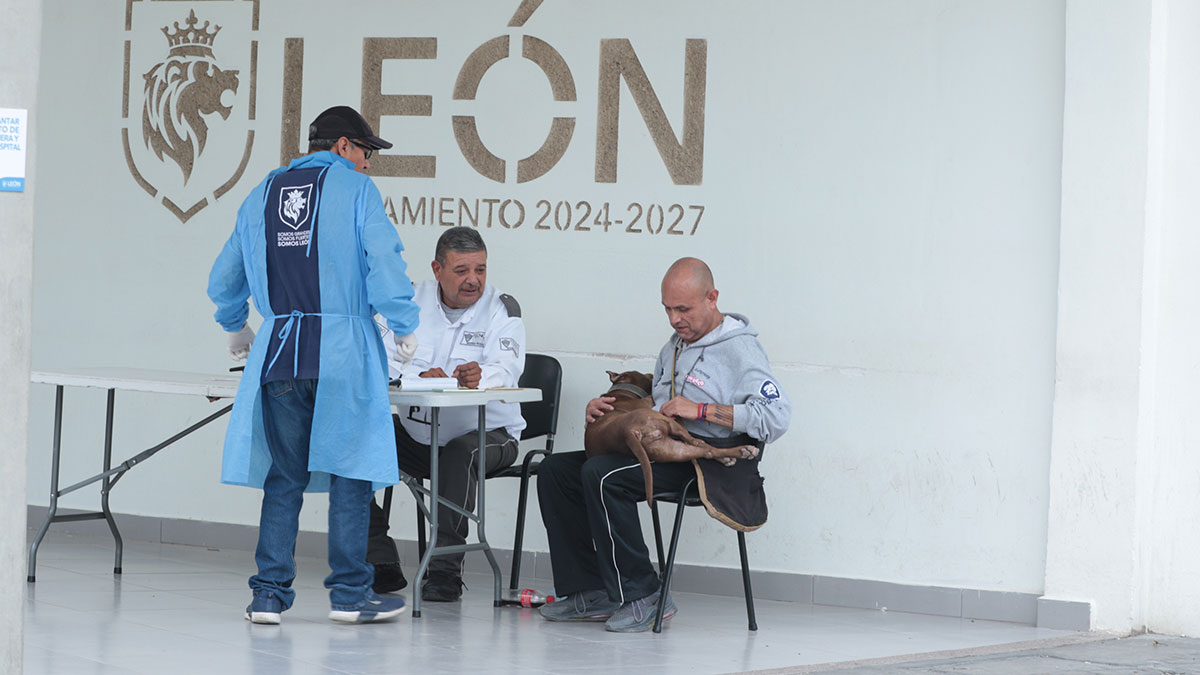 Hospital de Mascotas León supera objetivos en atención a la salud animal