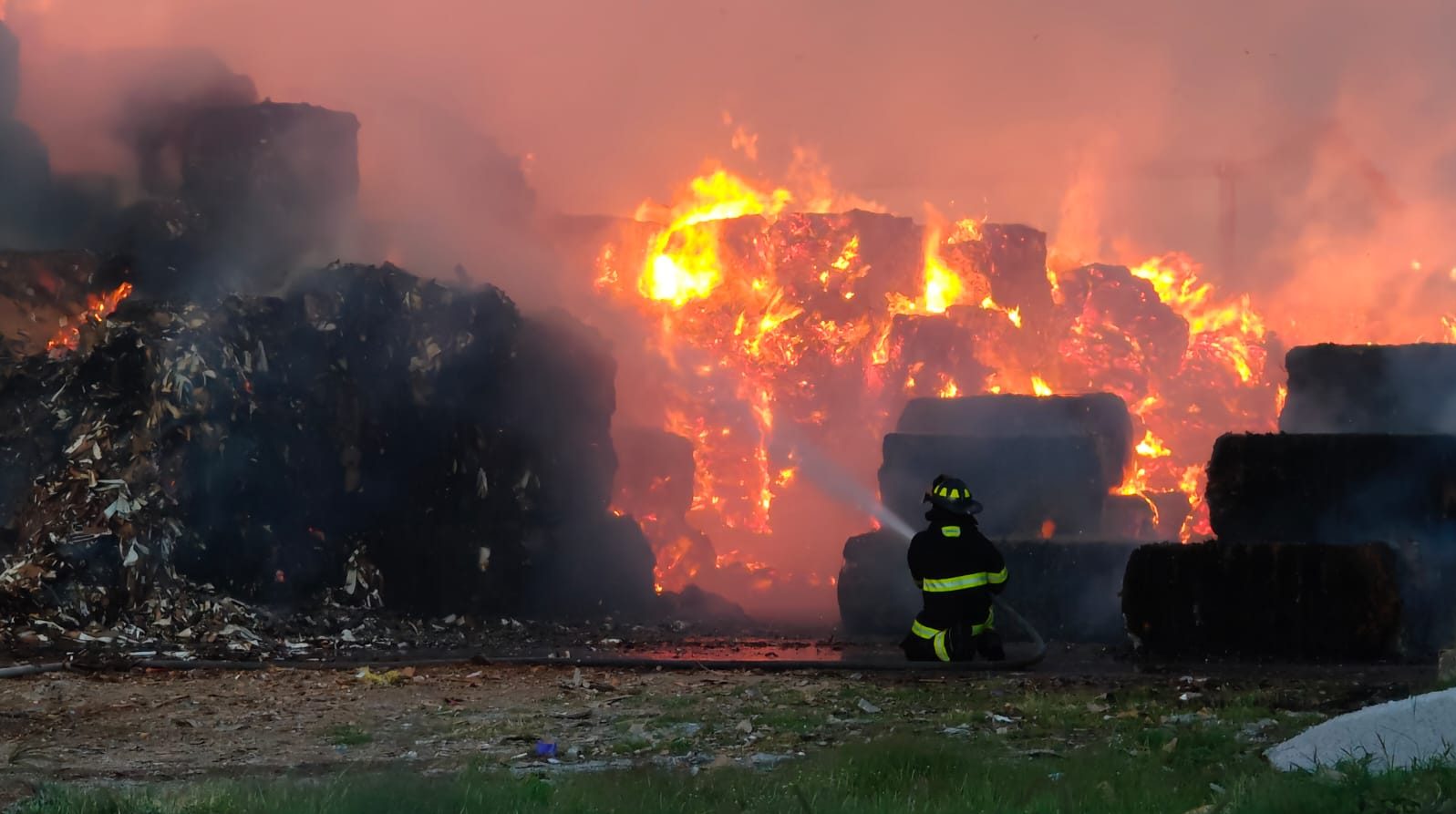 Incendio devasta recicladora de cartón en León, Guanajuato