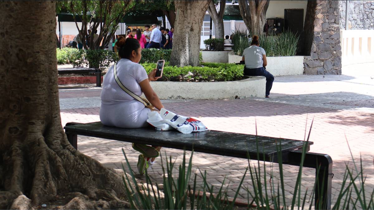 INEGI: Depresión y ansiedad en Guanajuato