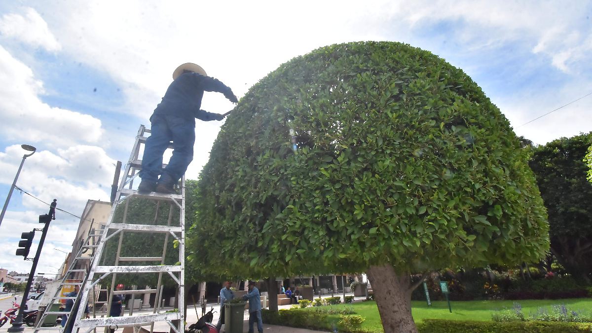 Irapuato refuerza la conciencia ambiental a través de campañas educativas