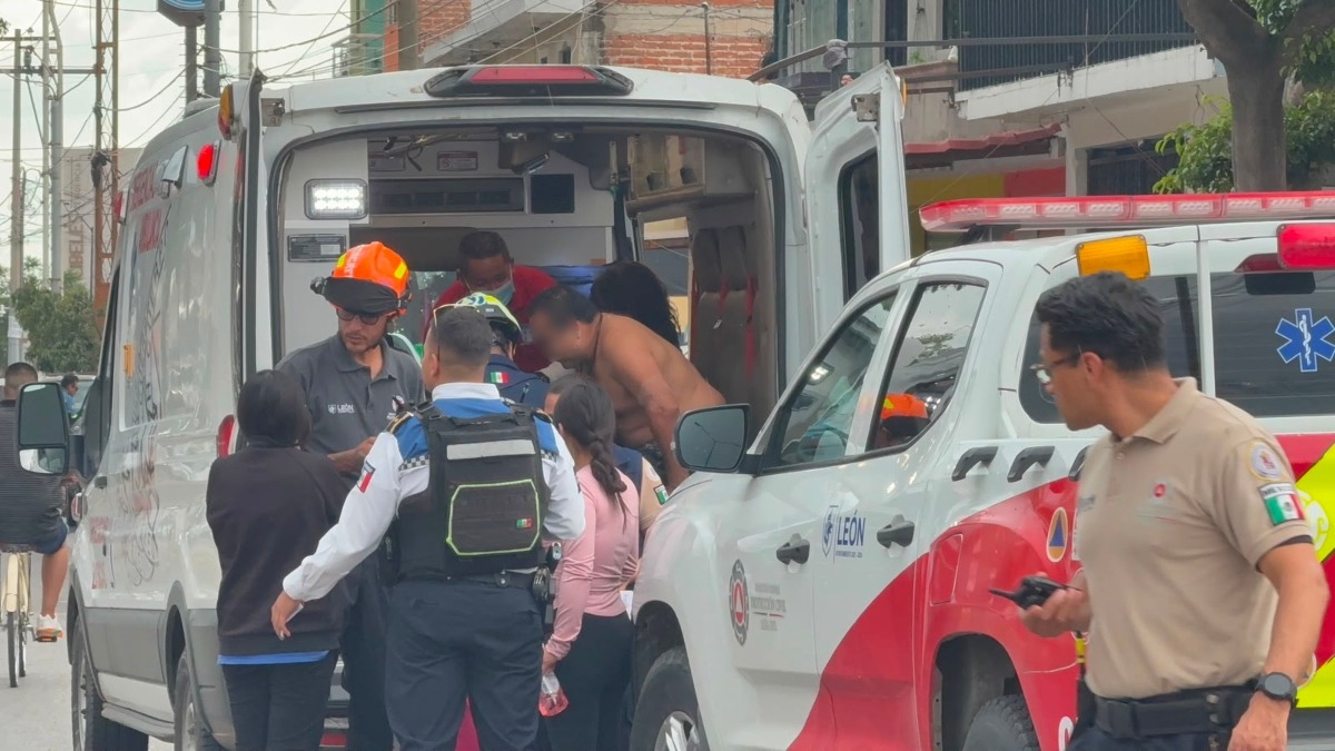 León: ataque masivo de abejas causa 14 lesionados en la ciudad