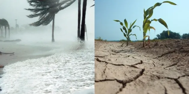 México: "El Niño" muy fuerte y su impacto previsto hasta 2027