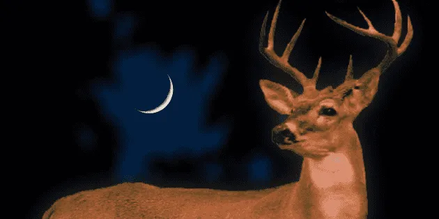 México: Luna de Ciervo 2026 se verá el [fecha y hora específicas]