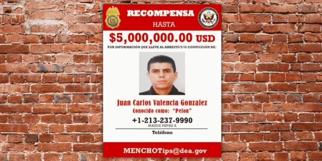 Michoacán: Diego Petersen critica estrategia contra el CJNG