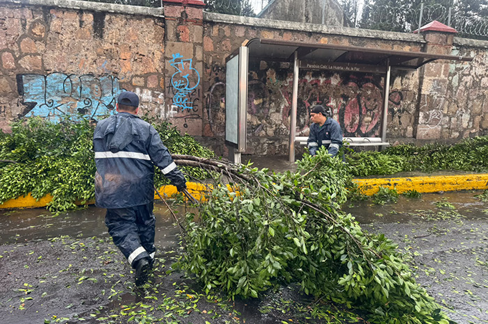 Morelia: Brigadas atienden reportes de lluvias este viernes
