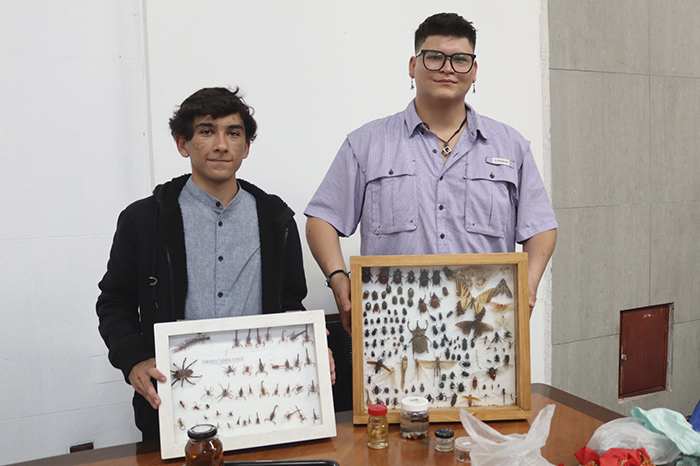 Morelia: Estudiantes de la UMSNH descubren posible nueva especie de ciempiés