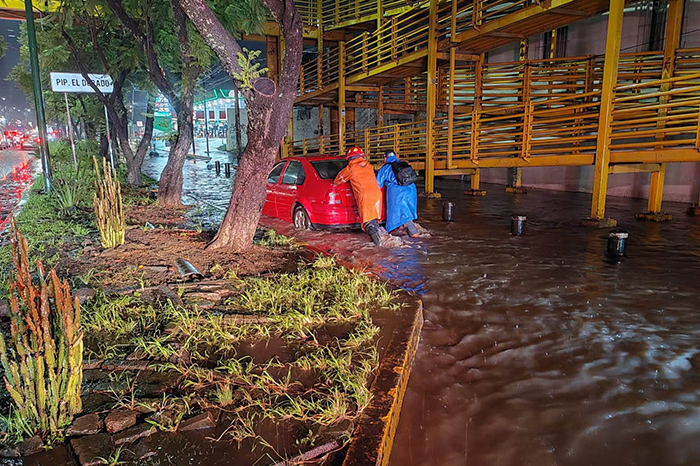 Morelia: Tormenta provoca inundaciones y caída de árboles