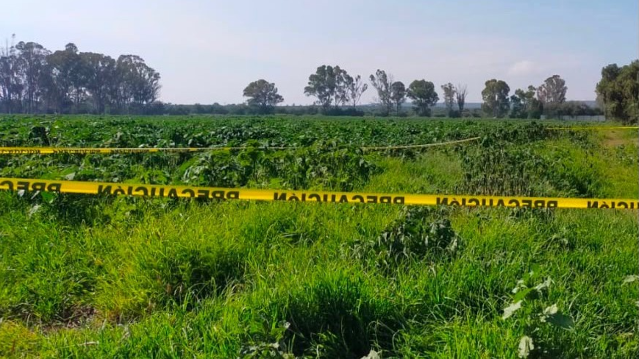 Palma Prieta: Localizan a hombre sin vida en matorrales