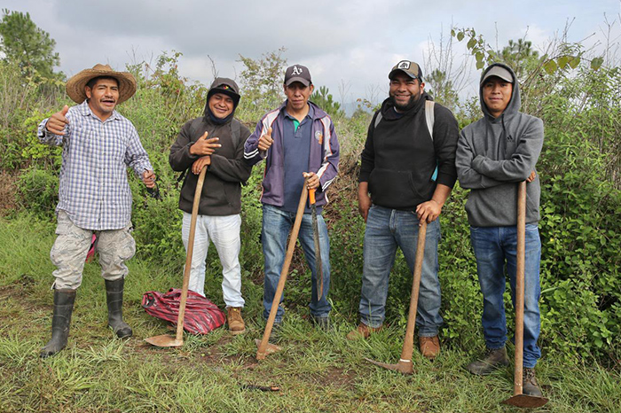 Pátzcuaro: Anuncian la siembra de 2.5 millones de árboles