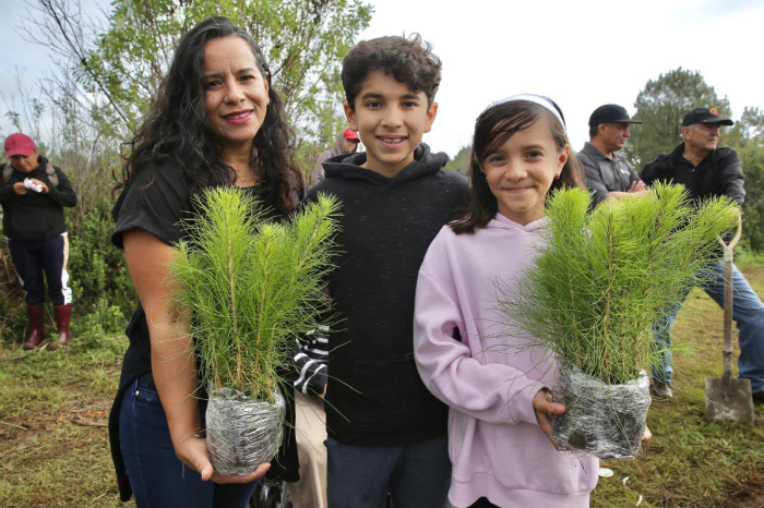 Pátzcuaro: Michoacán alcanza 6 millones de árboles plantados