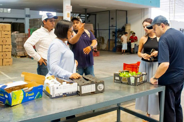Productores de Veracruz exportan 21.4 toneladas de limón persa a Rusia