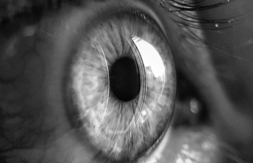 Retinas humanas reanimadas responden a la luz 10 horas post mortem
