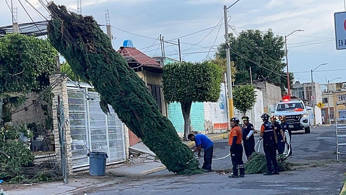 Tormenta en Irapuato causa encharcamientos y caída de árboles en varios lugares