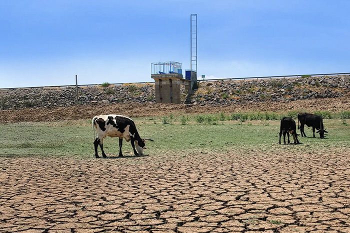 Cambio climático en México: El Niño aumenta la crisis hídrica y sequías