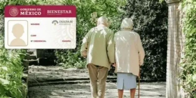 Ciudad de México: INAPAM ofrece cursos para adultos mayores en agosto 2026