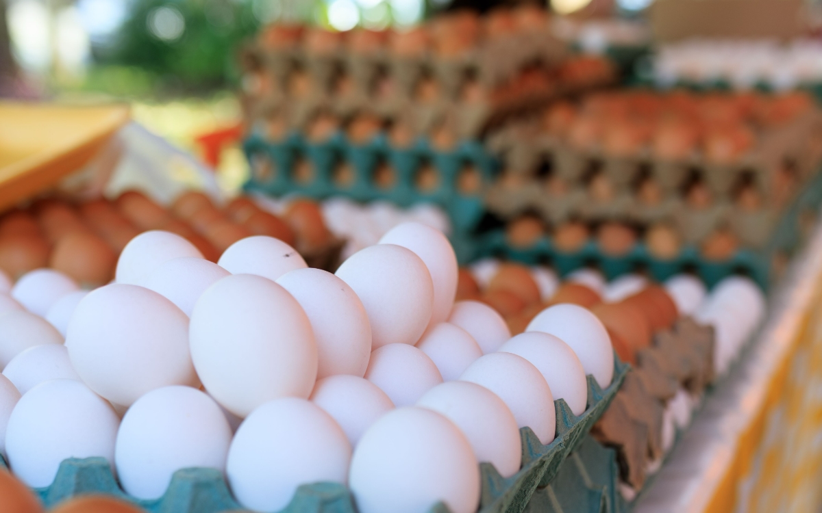 EE. UU. retira 19 millones de huevos por brote de salmonela