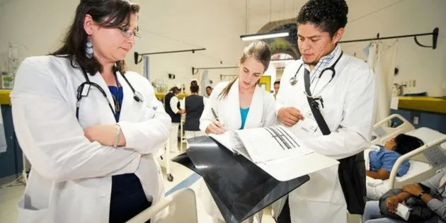 Guadalajara: Carreras con mayor demanda en 2026 según UDG