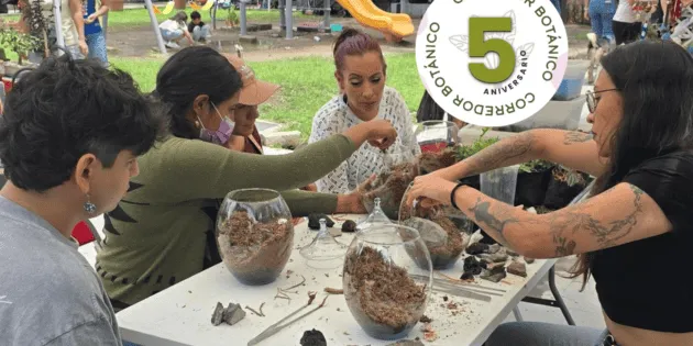 Guadalajara: Fechas y detalles del Refugio Fest 2026 de plantas