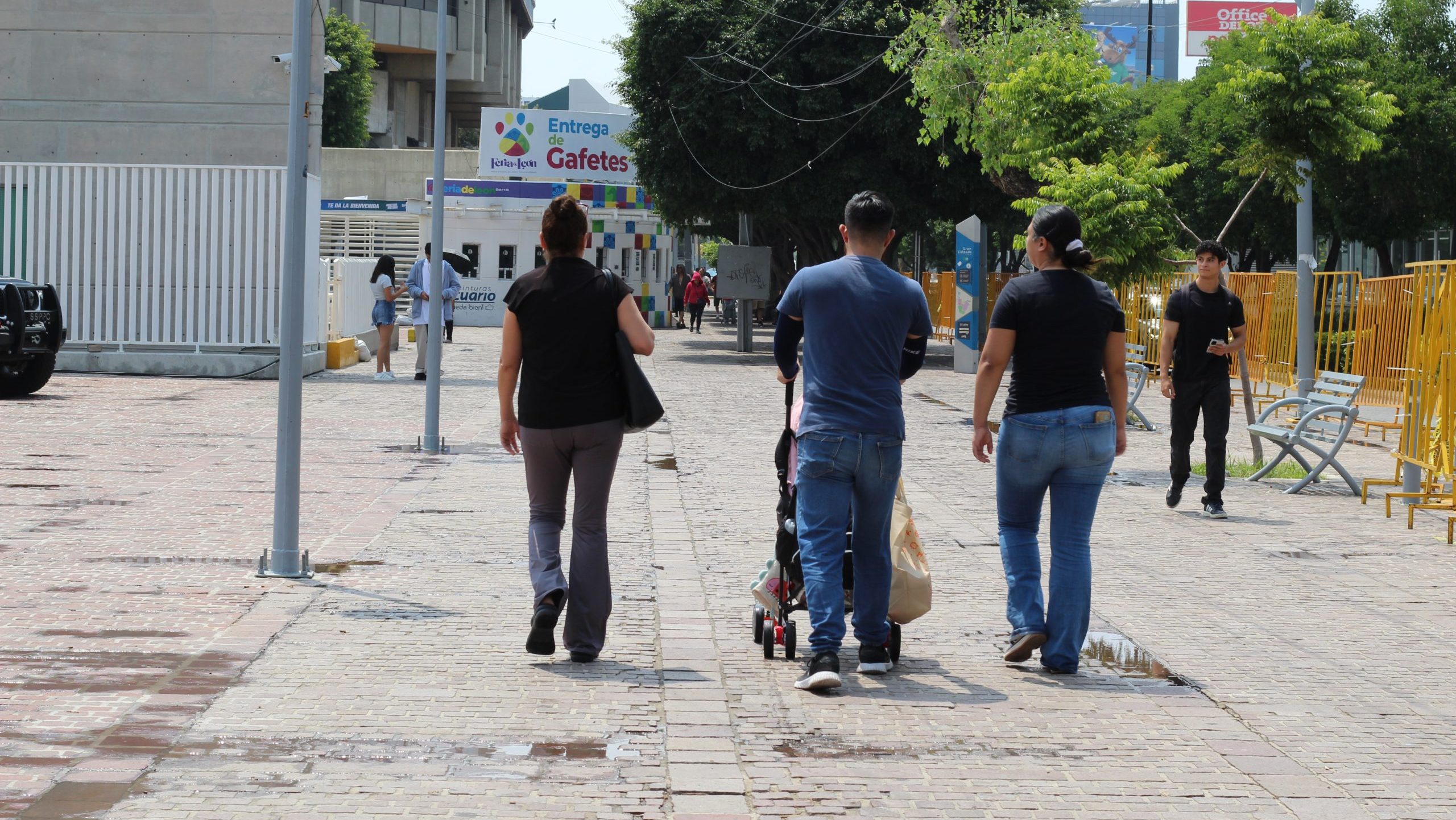 Guanajuato: La pensión alimenticia y sus víctimas en el estado