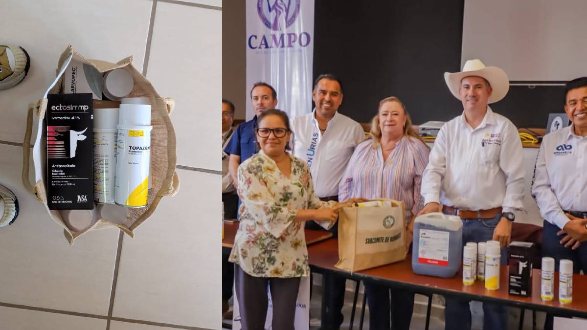 Guanajuato: Reportan 90 casos activos de gusano barrenador