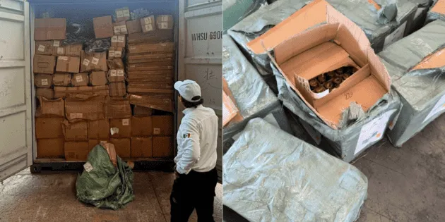 Lázaro Cárdenas: Decomisan mercancía pirata en operativos recientes