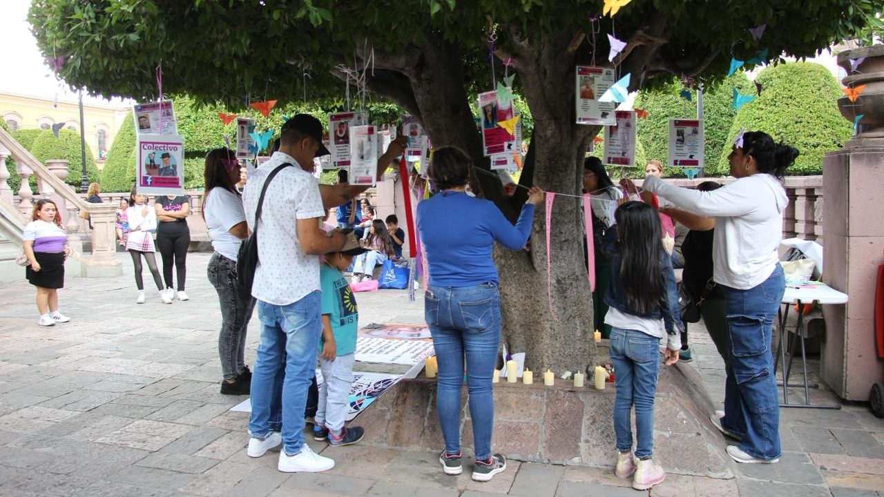 León: Buscadoras instalan "Árbol de la Esperanza" por desaparecidos