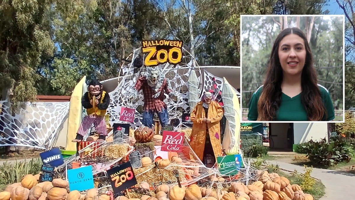 León tendrá 'Halloween Zoo' este año: ubicación alternativa confirmada