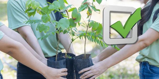 México: Registro para voluntarios en la Jornada Nacional de Reforestación 2026