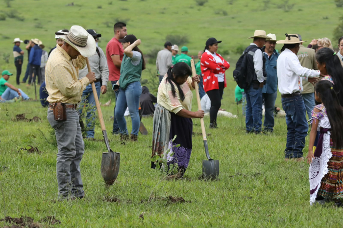 Morelia: Más de 10 mil participantes en la Jornada Nacional de Reforestación