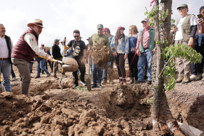 Morelia: Plantación de 2,500 árboles impulsa compromiso ambiental del Morebús