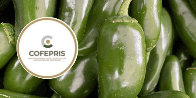 Nuevo León: Cofepris descarta salmonela en chiles jalapeños
