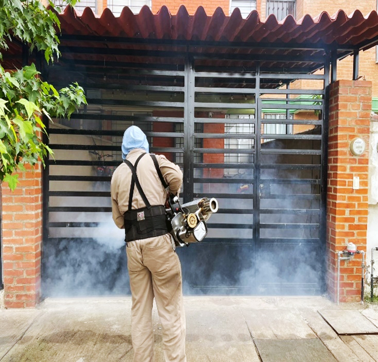 SSG: Reducción del 77% en casos de dengue en el estado