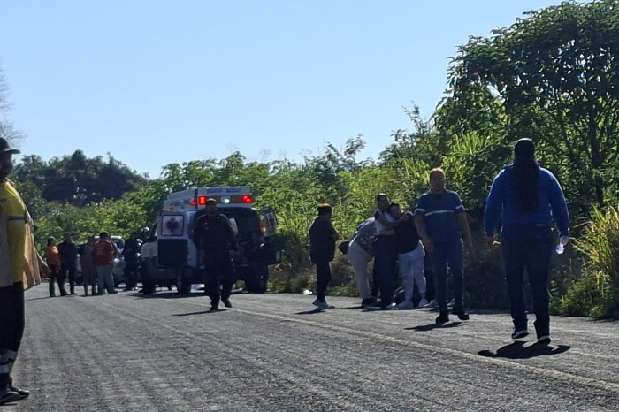 Tocumbo: Mujer fallece en accidente de bicicleta por atropello