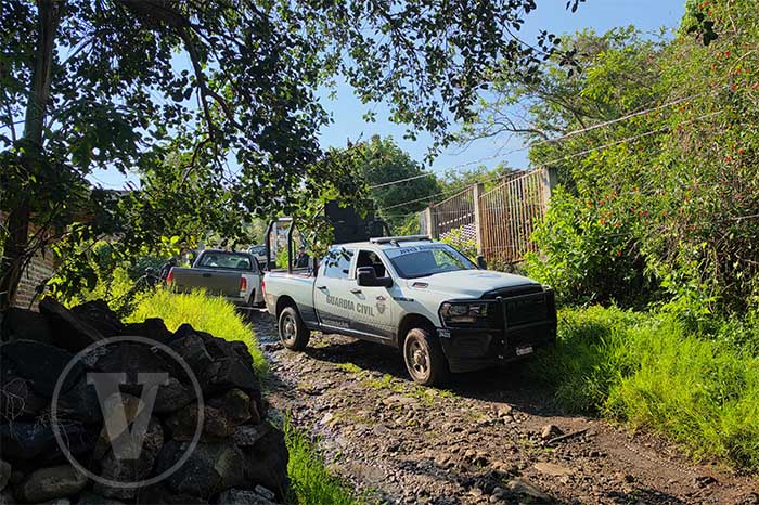 Zamora: Detienen a cuatro hombres armados tras operativo policial