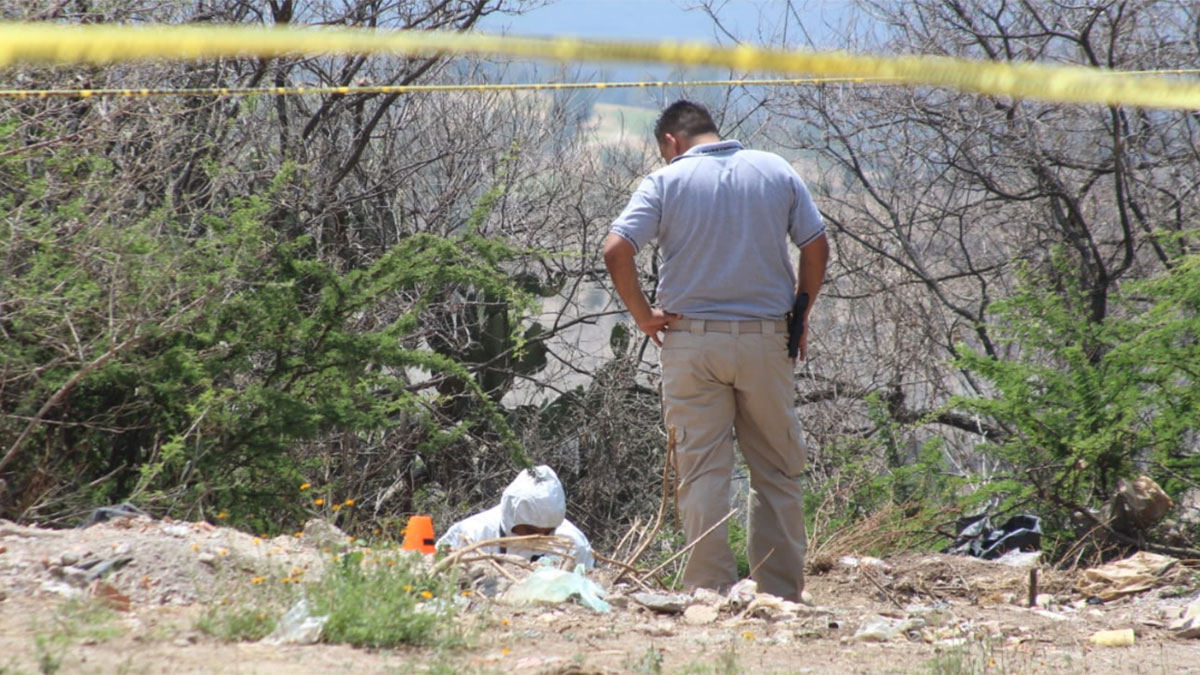 Cuerpo encontrado en carretera a San Felipe, impacta a León