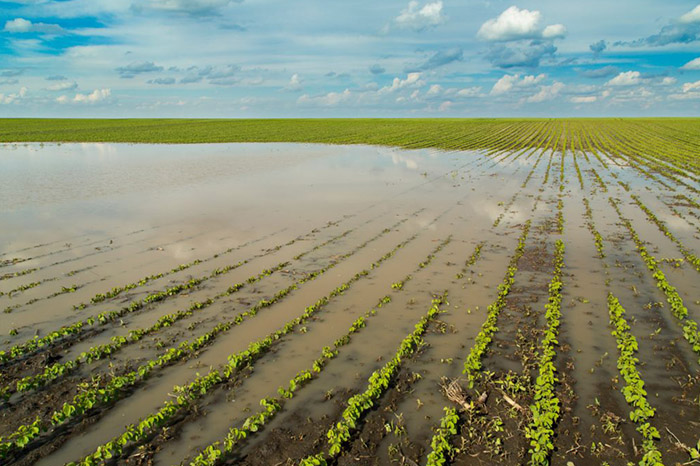 El Niño: OMM advierte sobre posible intensificación en su impacto