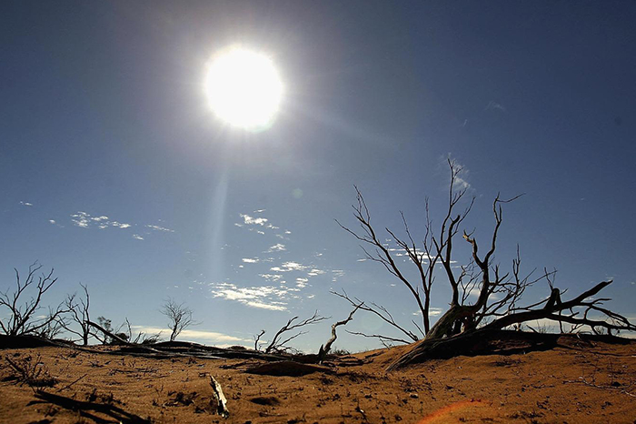 Fenómenos climáticos: El Niño prevé invierno severo en California