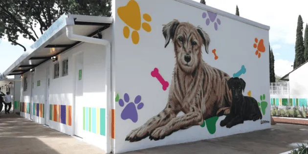 Guadalajara: Inauguran el albergue para animales más grande de México