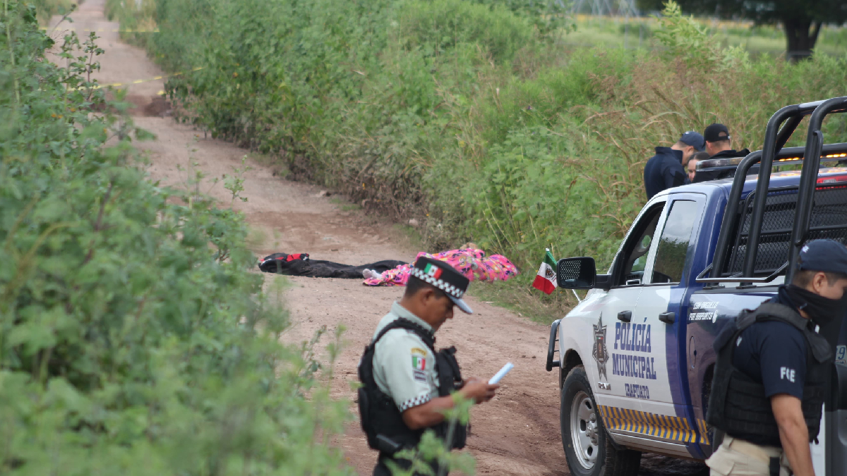 Guanajuato: Liderazgo en homicidios de mujeres en 2026