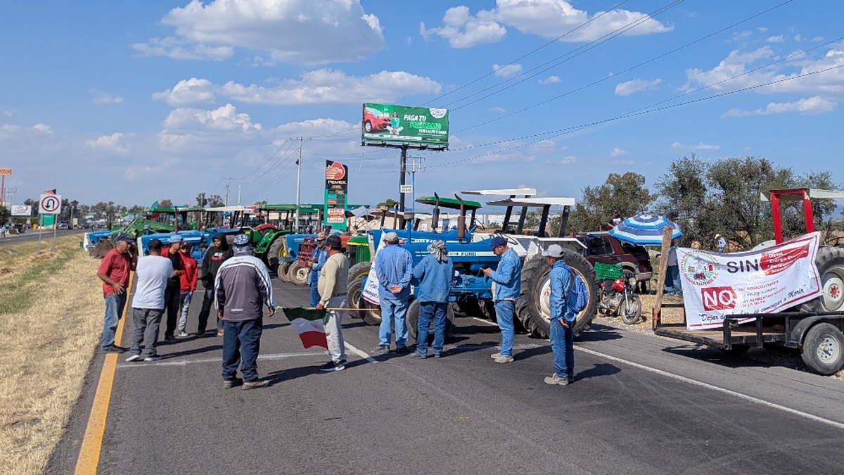 Guanajuato: Productores de maíz preparan protestas por pagos pendientes